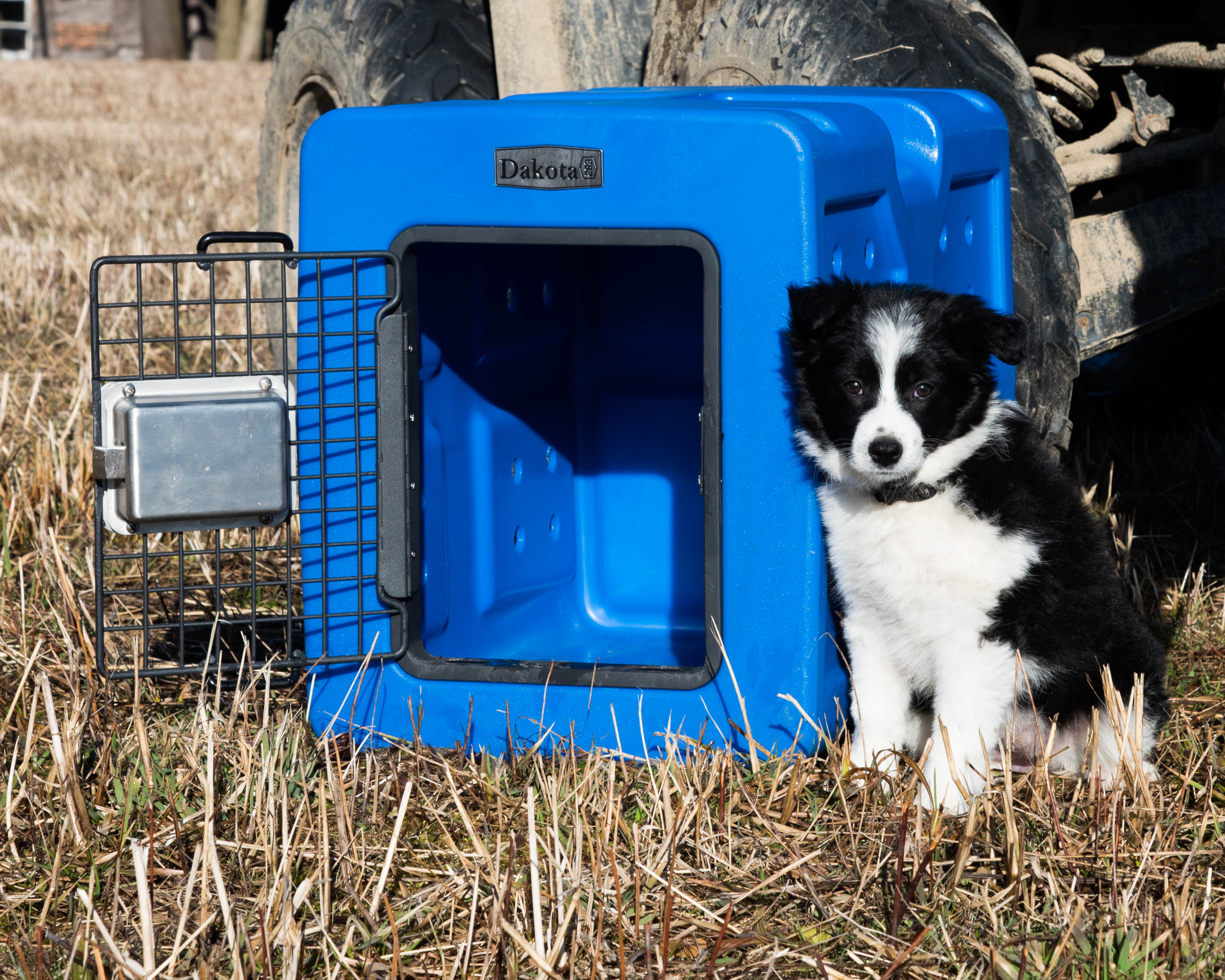 Pictured: Dakota 283 G3 Small Framed Kennel (Blue)