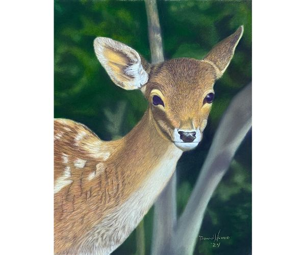 soft pastel fawn painting
