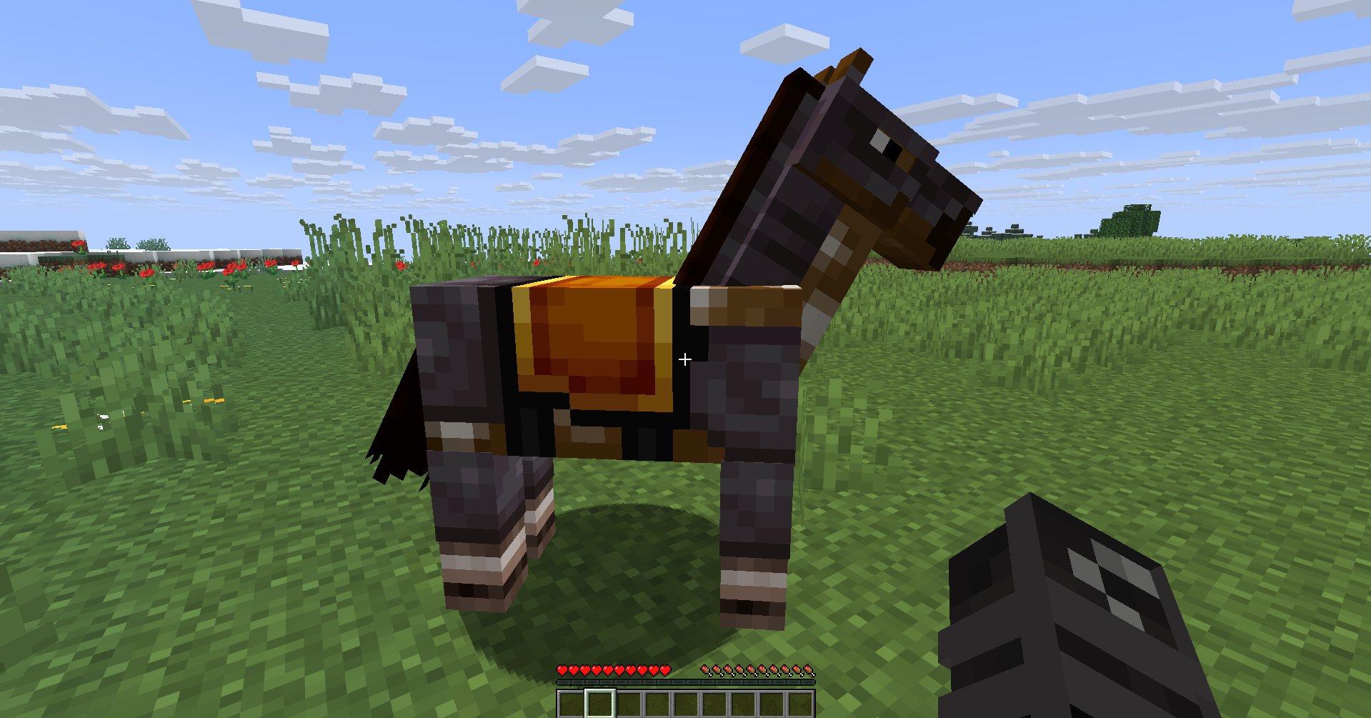 The horse with Netherite Horse Armor.