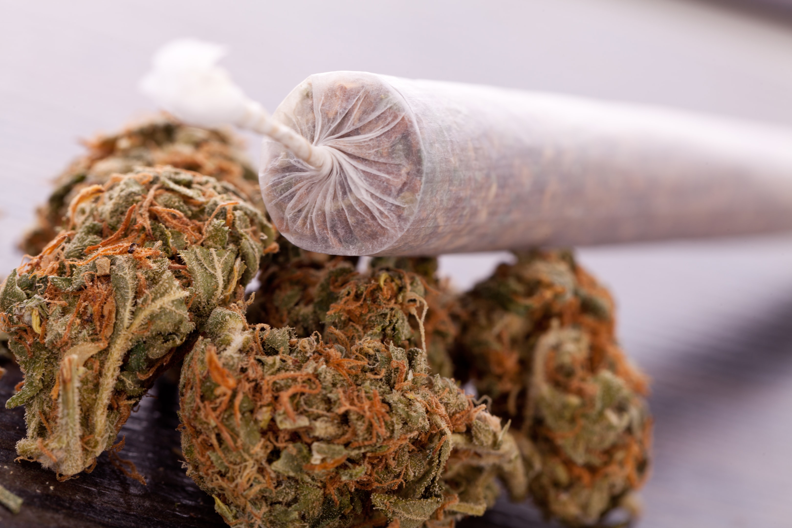 Terpenes in THCA Flower: How They Enhance Your Experience