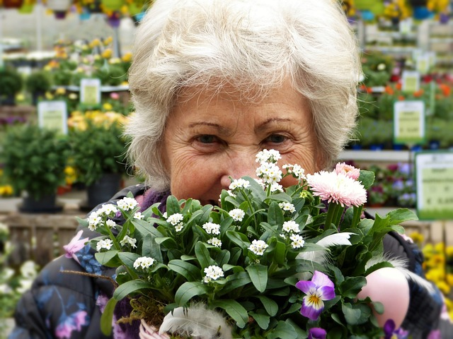 woman, seniorin, pensioner