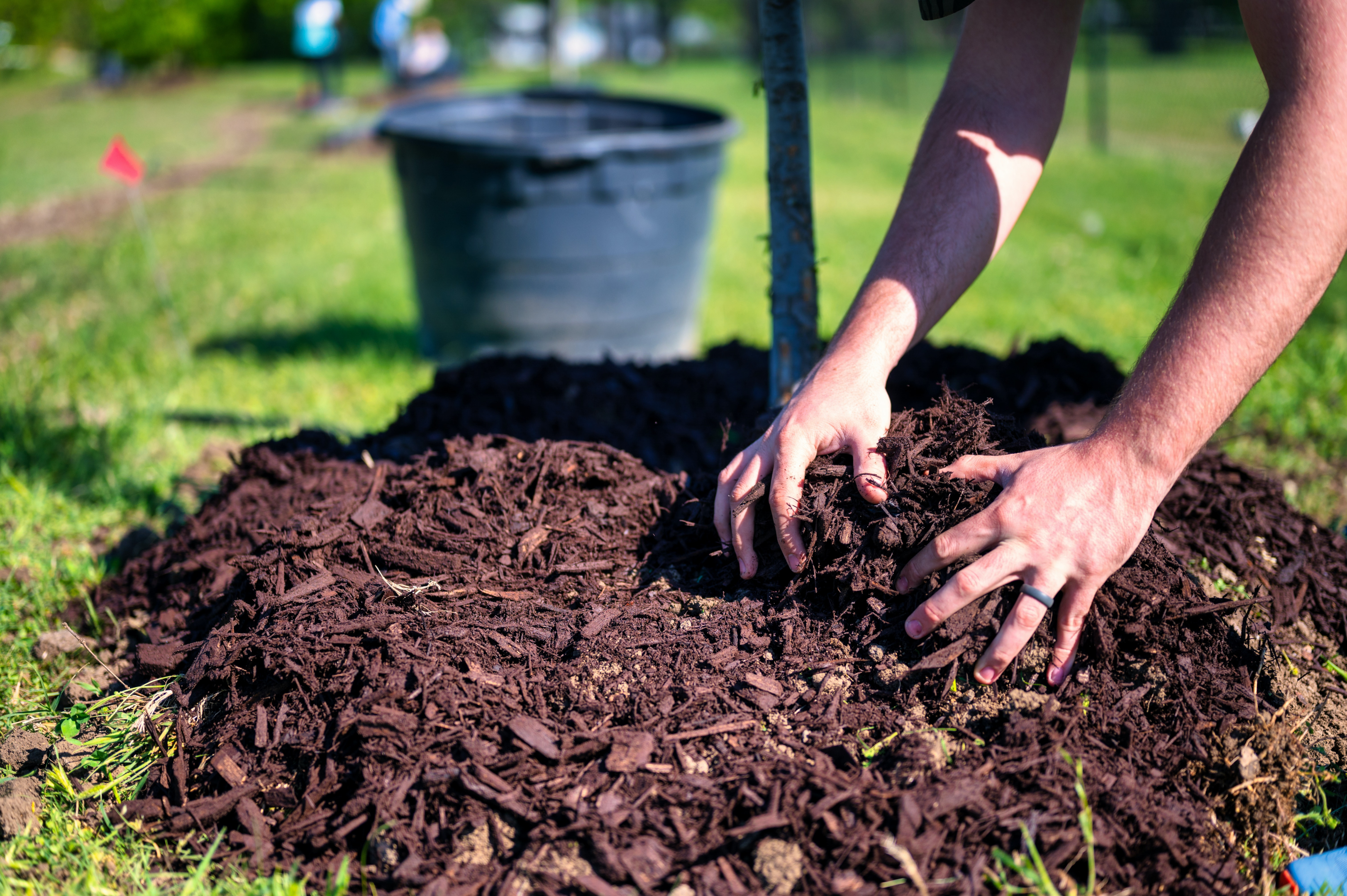 Erde kann als Mulch oder Kompost eine zweite Karriere machen