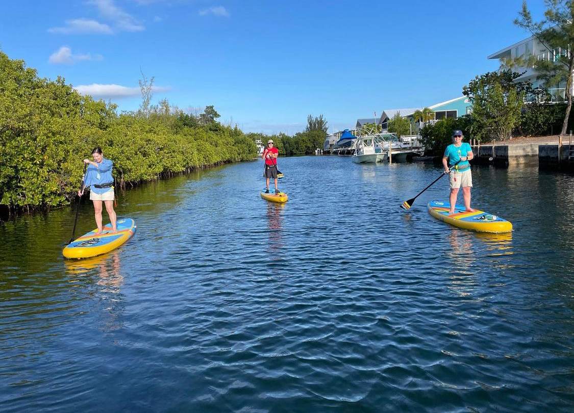 stand up paddle boards