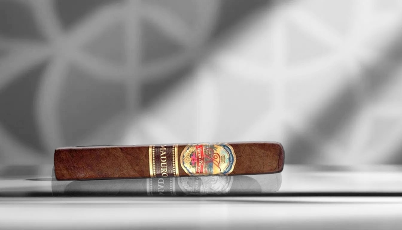 K by Karen Berger Maduro Robusto cigars, ideal for value seekers.