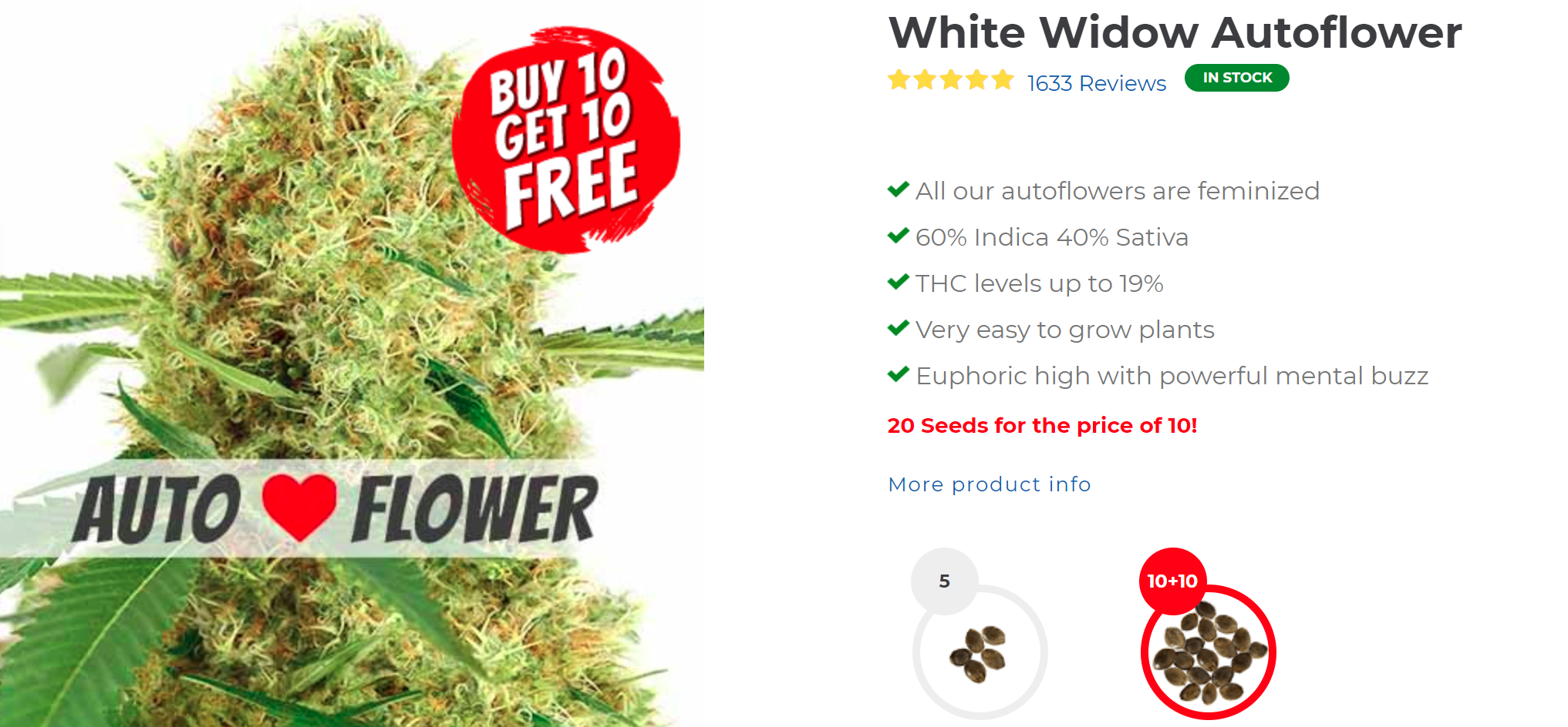Ilgm White Widow Auto-Flowering Seeds