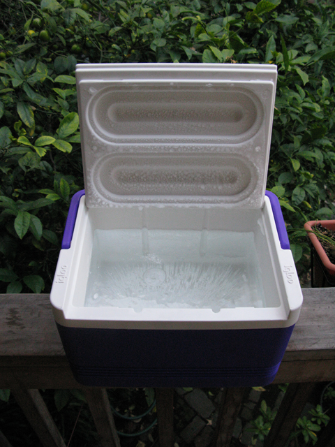 ice cube tray