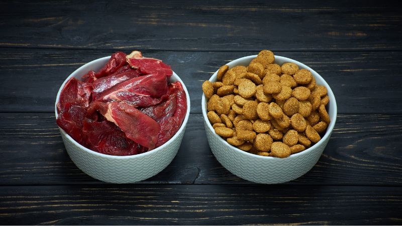 How Much Protein is in Dog Food Exploring Canine Nutrition