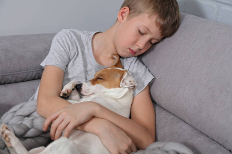 Understanding the Dog's Stomach Problem