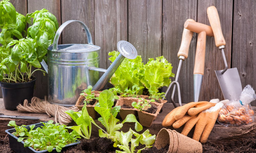 May Gardening Chores