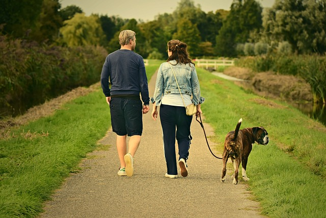 couple, love, outdoors, degenerative diseases, beloved canine companion, acute injury, leg shaking, weak and shaking, degenerative myelopathy, hip dysplasia,  involuntary muscle movements, leg shaking, dog's muscles strong, weak and shaking, weak and shaking, weak and shaking