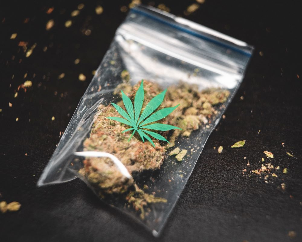 How long can weed last in a ziploc