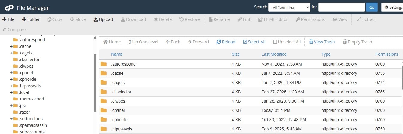 cPanel