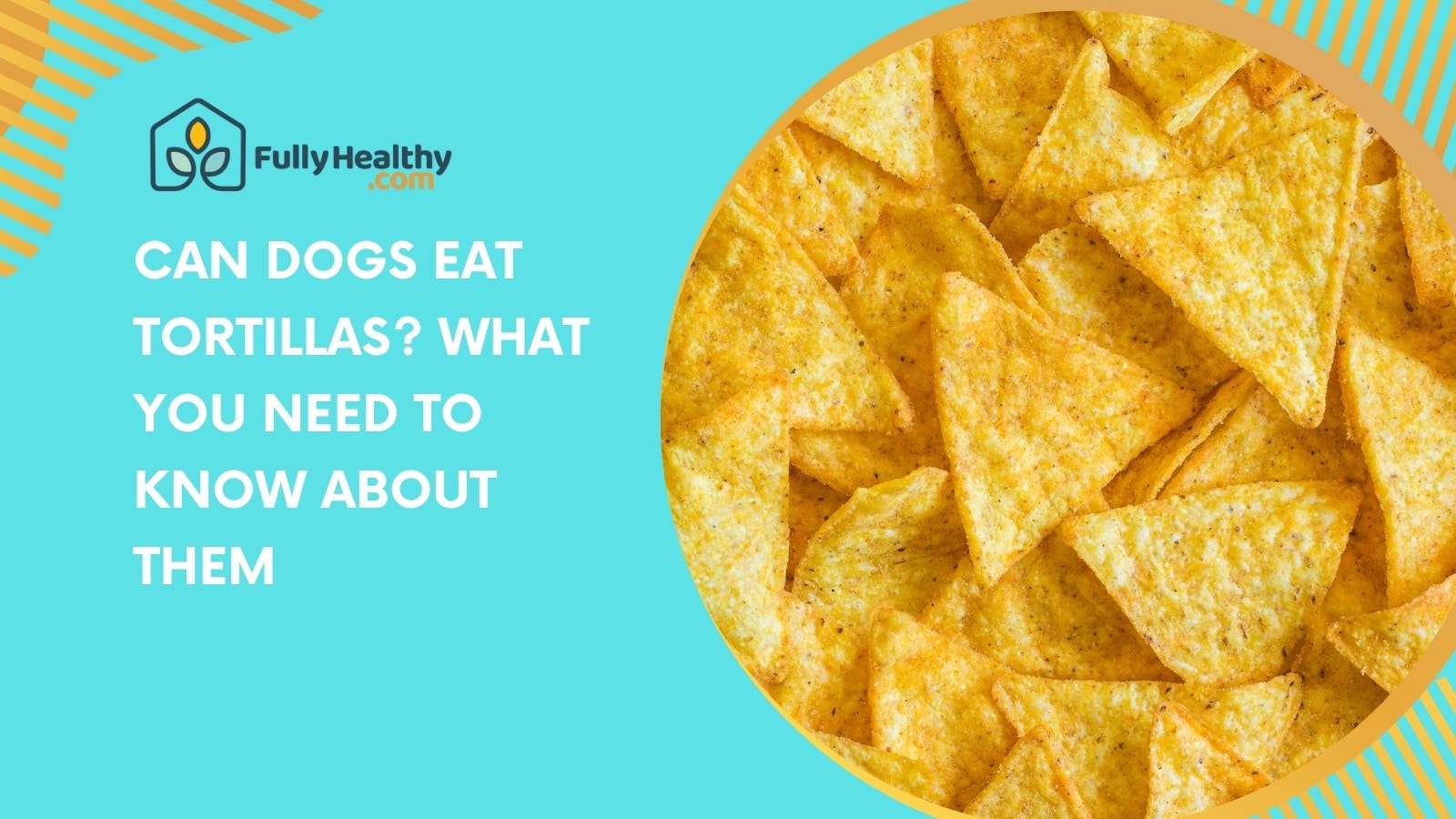 Can Dogs Eat Tortillas? What You Need to Know About Them