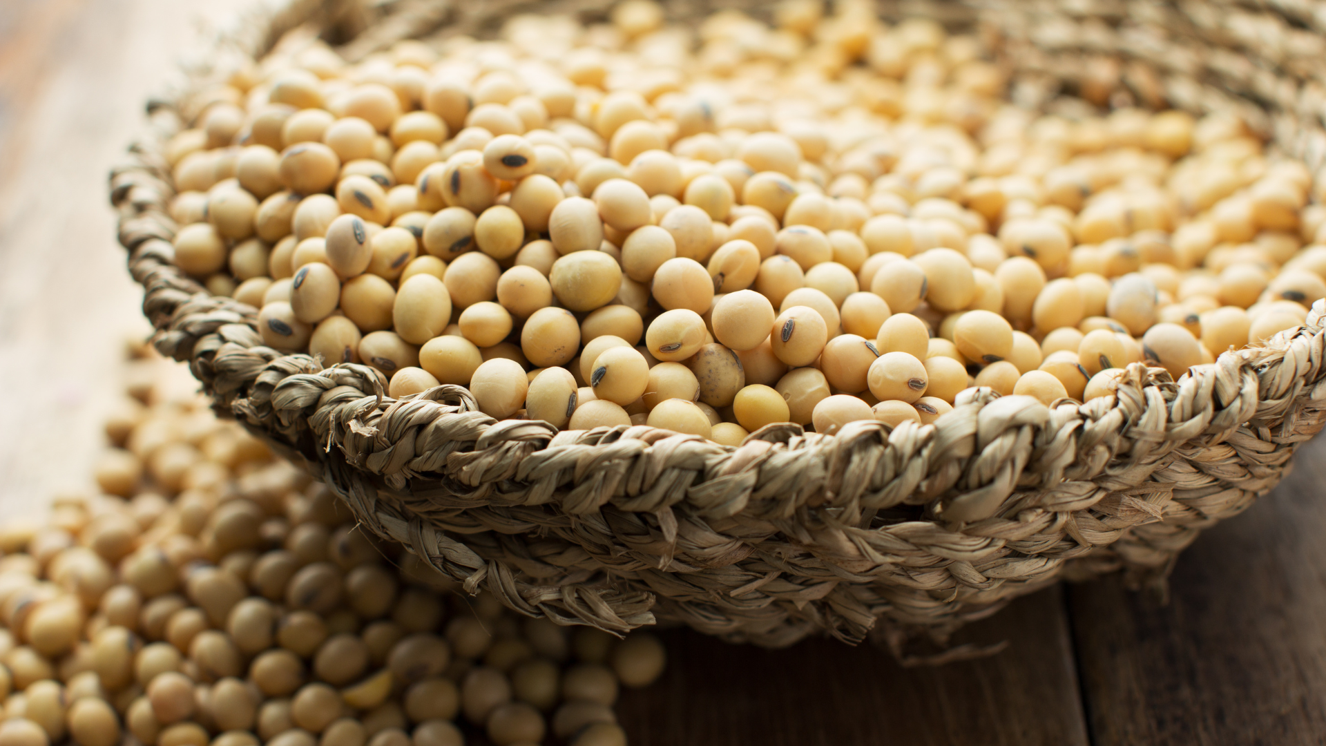 Sojaprotein Pferd, Sojabohnen, Eiweiß, Bohnen, Natur