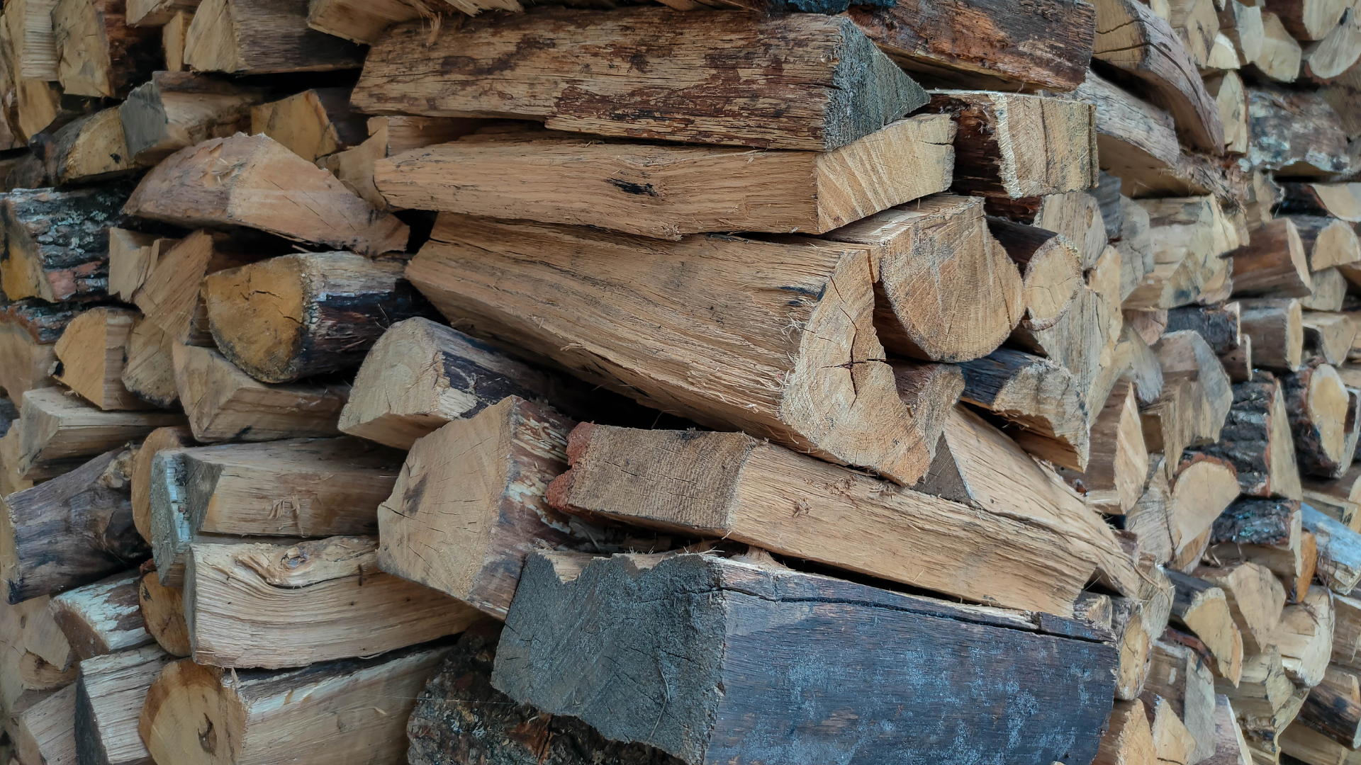 A stack of dry firewood.