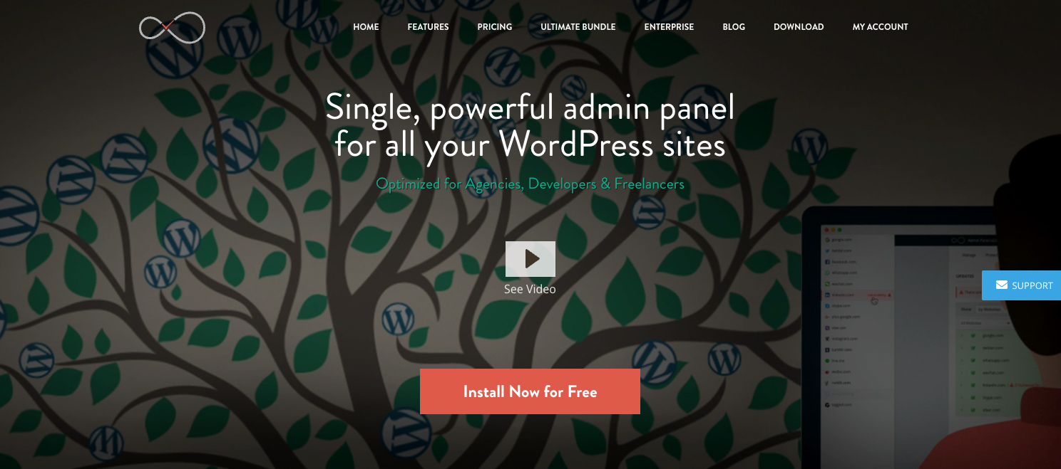 With InfiniteWP you can manage multiple WordPress websites