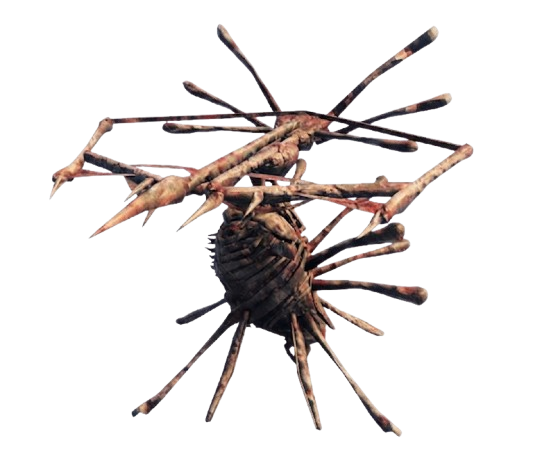 skuggs Valheim