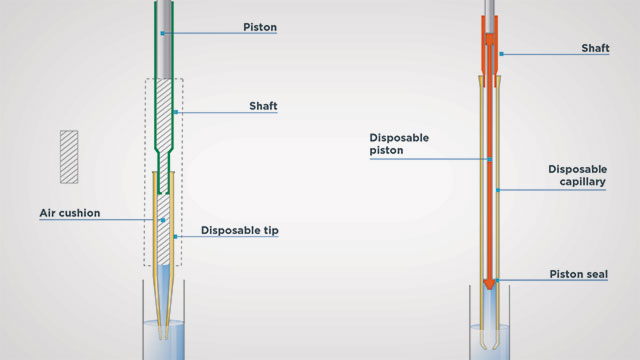 Illustration of positive displacement pipettes