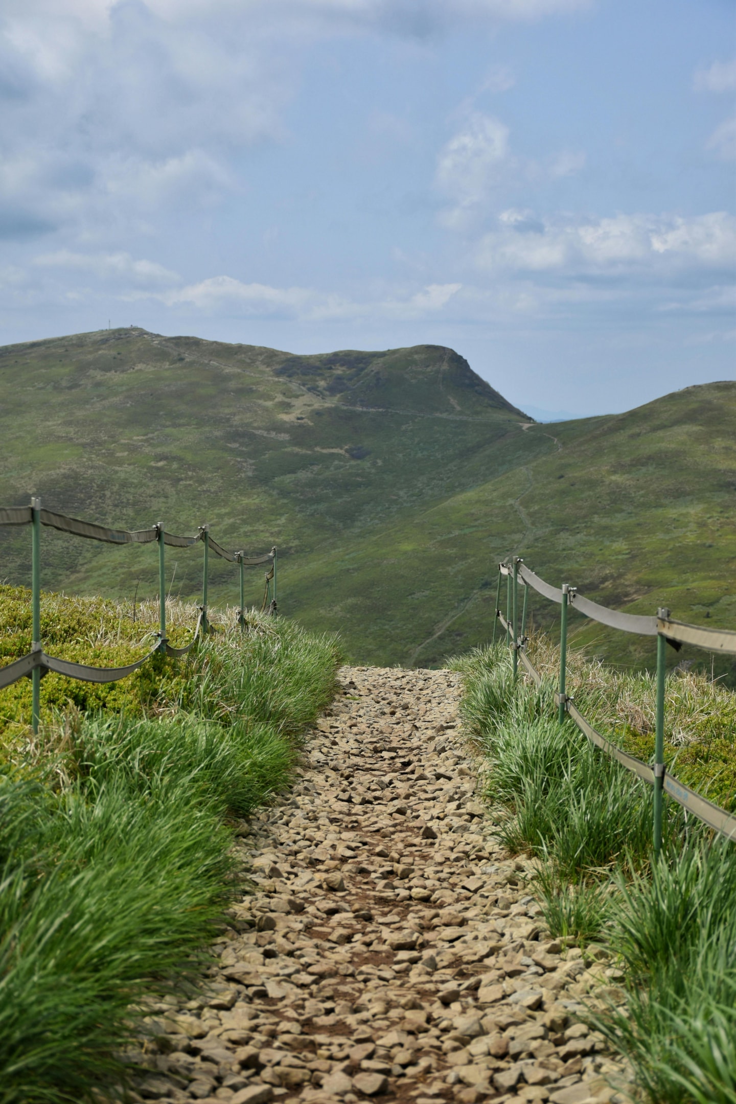 Połonina Wetlińska, Bieszczady. Połoninę Wetlińską można uznać za jedną z najpopularniejszych atrakcji turystycznych., jakie oferuje Bieszczadzki Park Narodowy.  