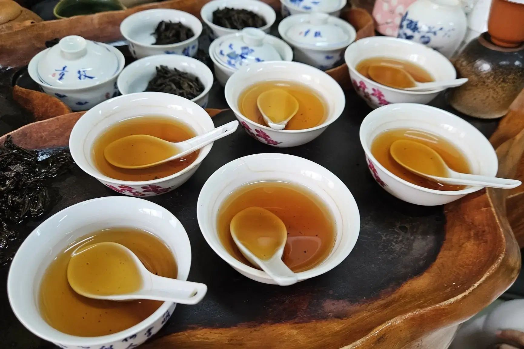 Several white porcelain bowls filled with amber-colored tea and matching ceramic spoons are arranged on a dark, rustic wooden tray. In the background, multiple small lidded cups and bowls containing dark, loose-leaf tea complete the traditional tasting set.