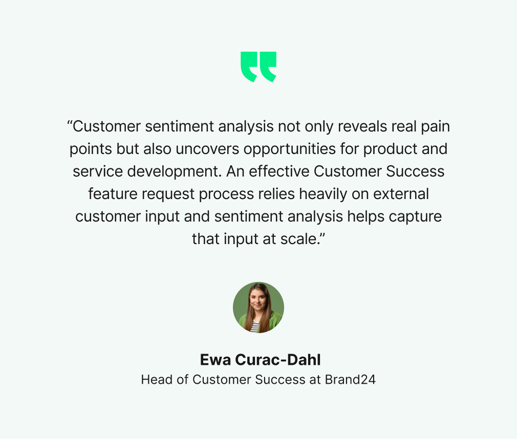 customer sentiment analysis quote by head of customer success at brand24