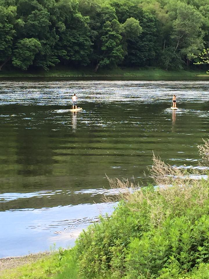 paddle boards on flatwater