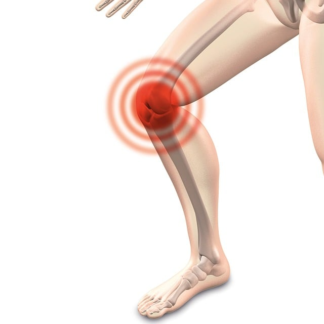 knee movement