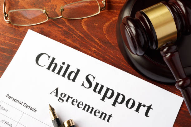 What Does Child Support Cover NSW?