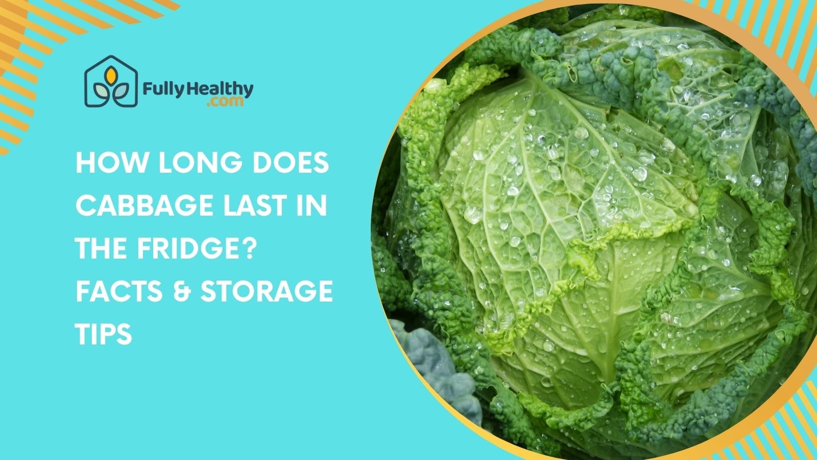 How Long Does Cabbage Last in the Fridge? Facts & Storage Tips