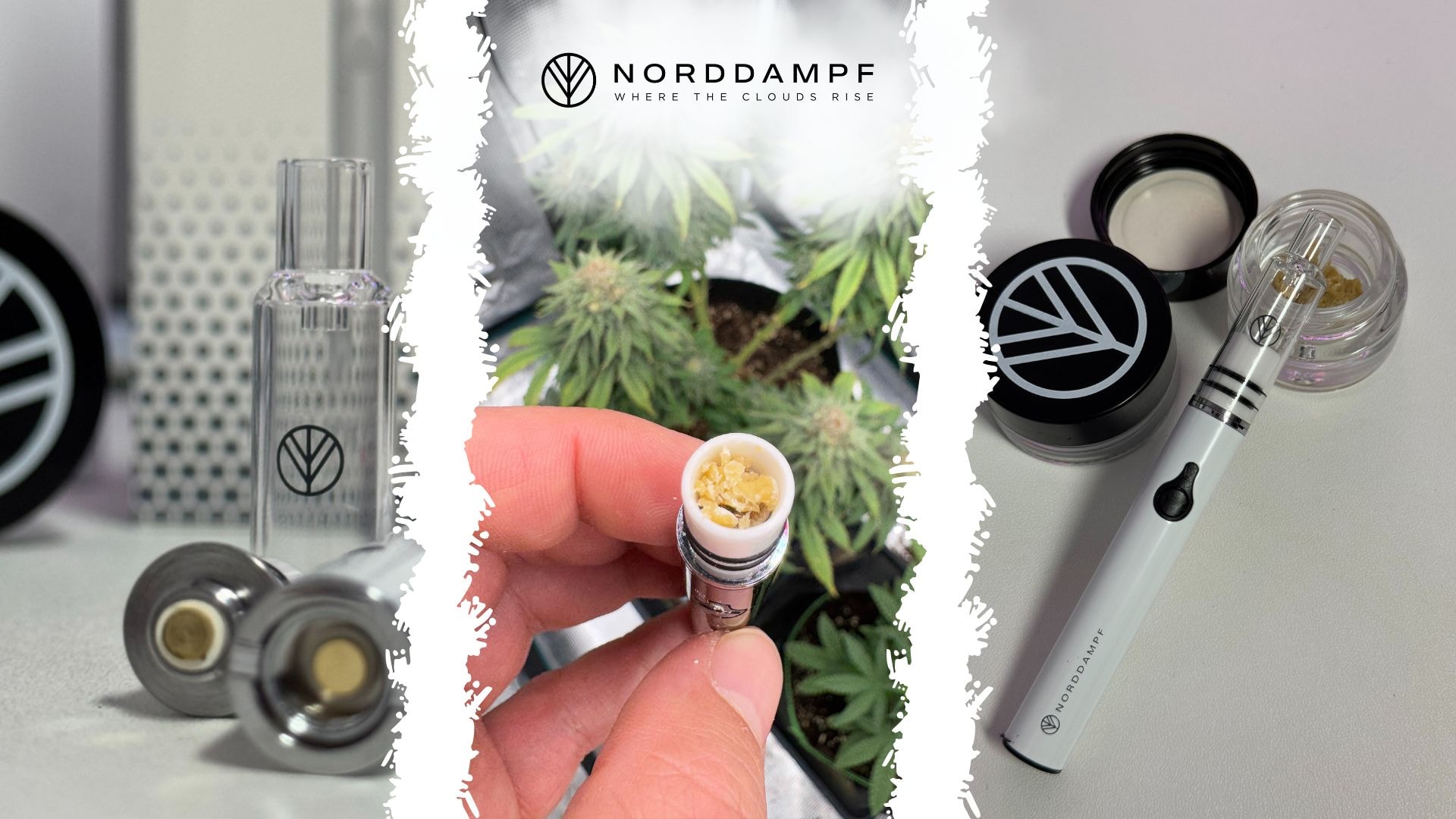 Wir klären über häufige Mythen rund um Tabak in Vaporizern auf