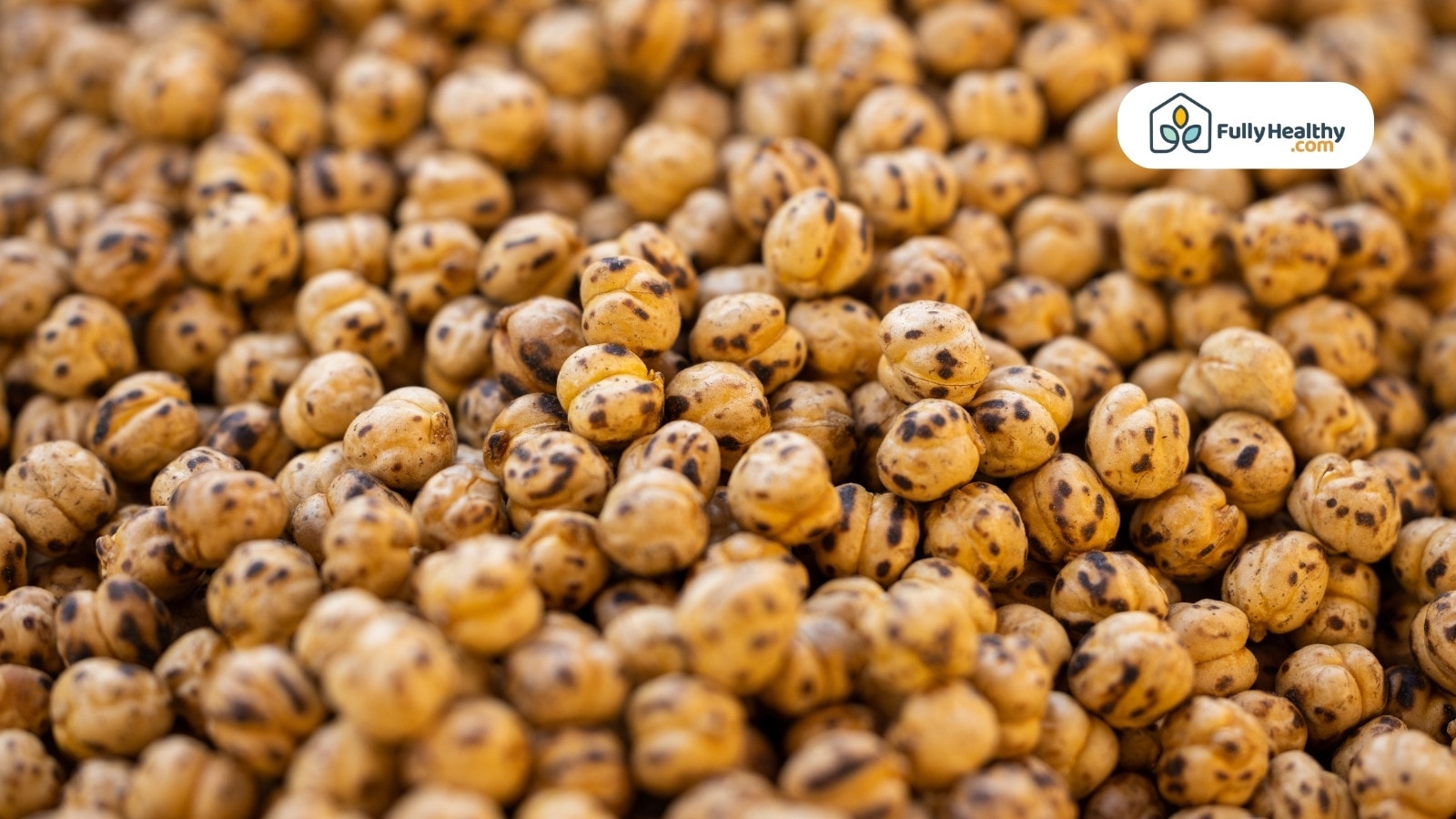 Roasted chickpeas with dark spots piled closely together in large batch