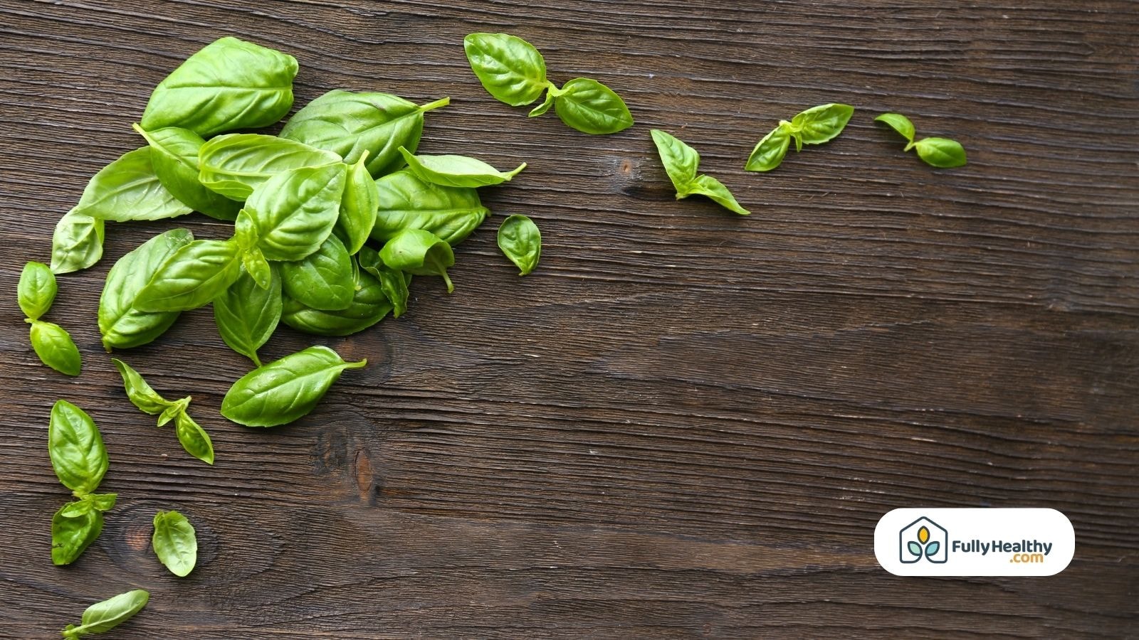 Fresh sweet basil leaves spread on dark wooden rustic background surface