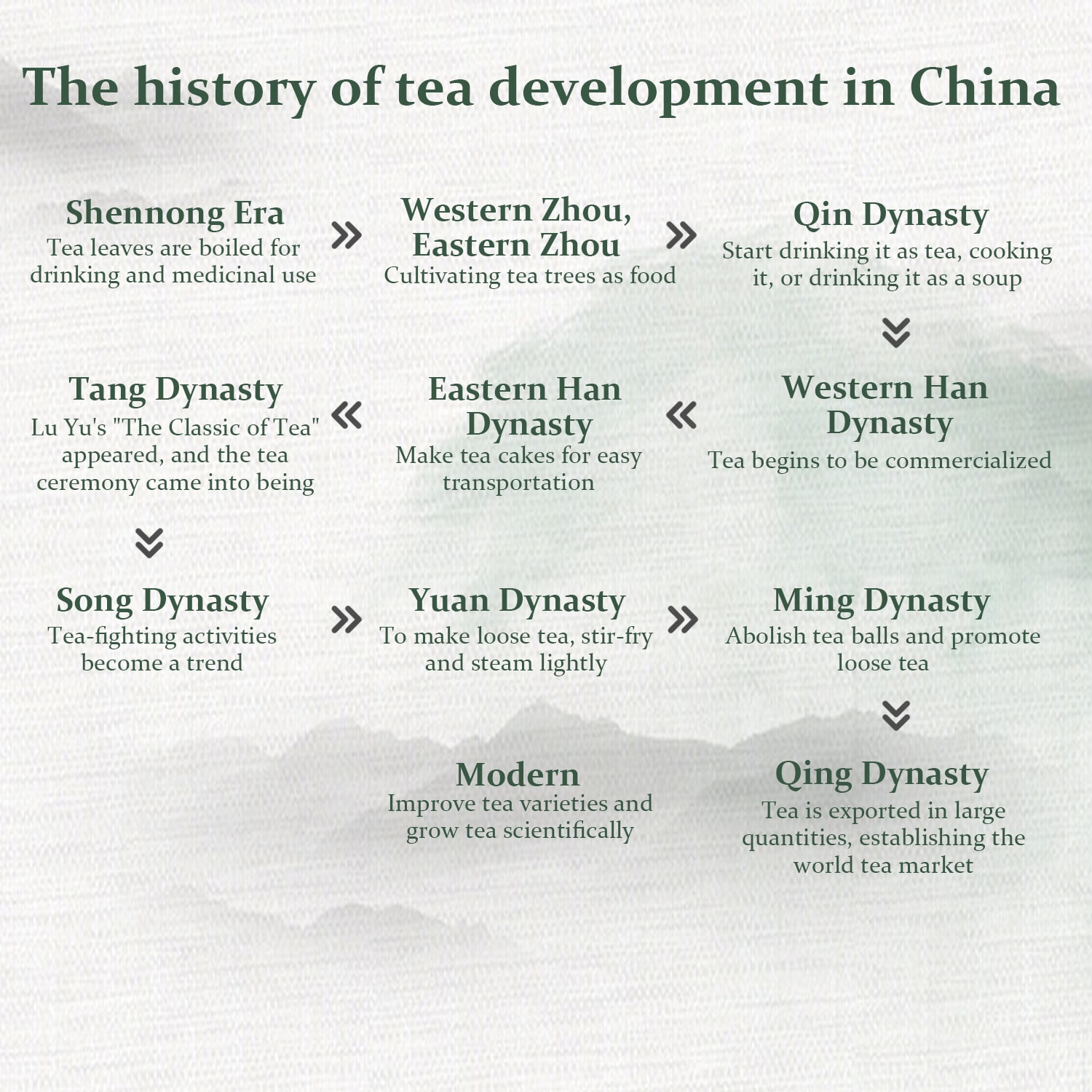 The history of tea development in China