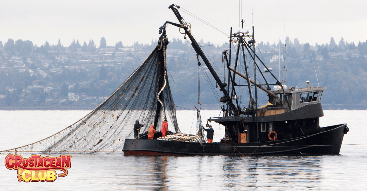 Image of a fishing boat in America