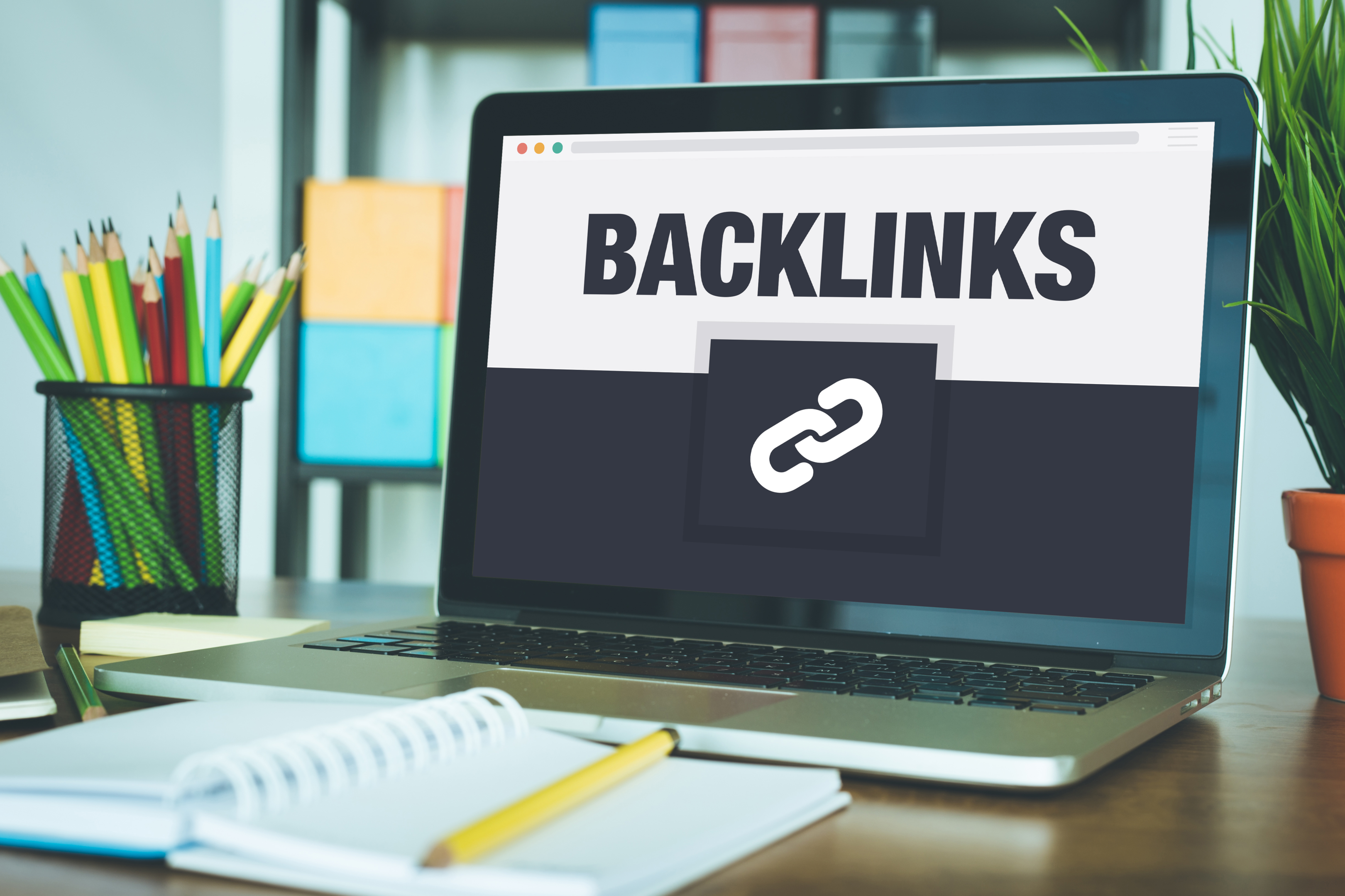 A person building a strong local backlink profile