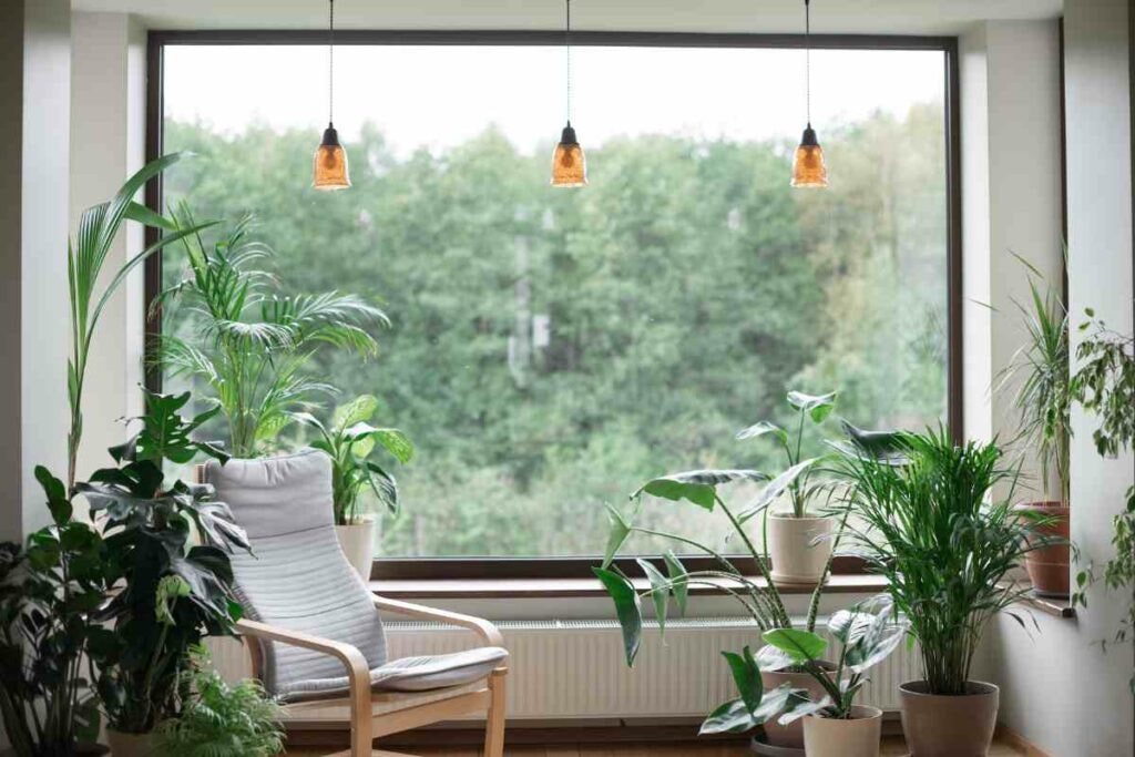 Design Principles for Indoor Woodlands