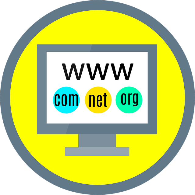 domain, website, blogging