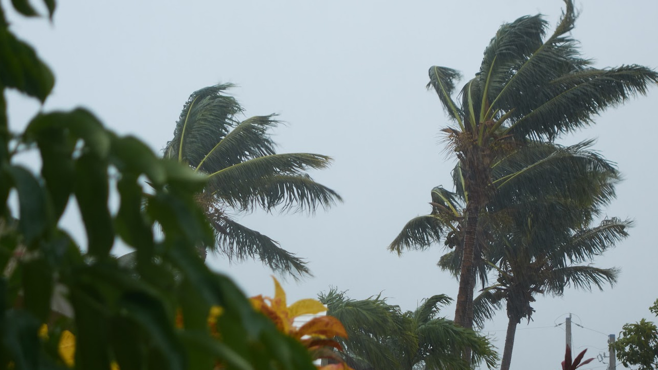 tropical wave, dangerous winds, atlantic hurricane season runs, major hurricane, tropical cyclones, tropical waves.