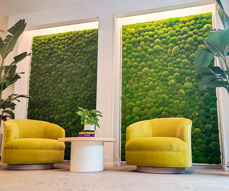 The Evolution of Indoor Natural Spaces