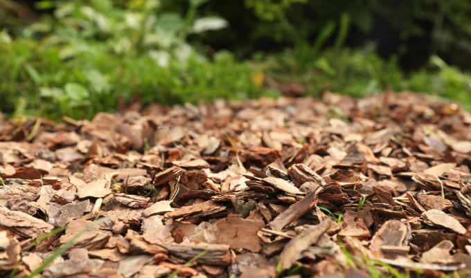 A pile of wood chips. Just add top soil underneath and you have a great growing environment for your garden.