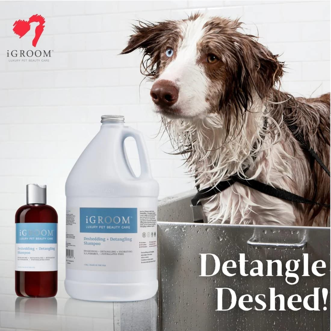 Best Deshedding Shampoos for Dogs