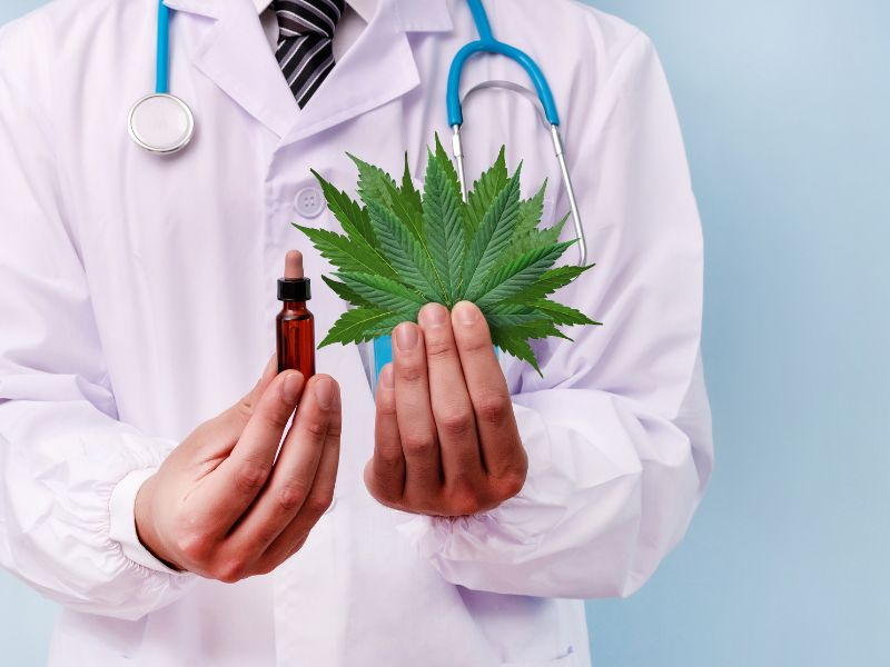 medical cannabis doctor