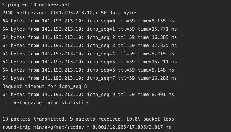 Running a ping test on command line.
