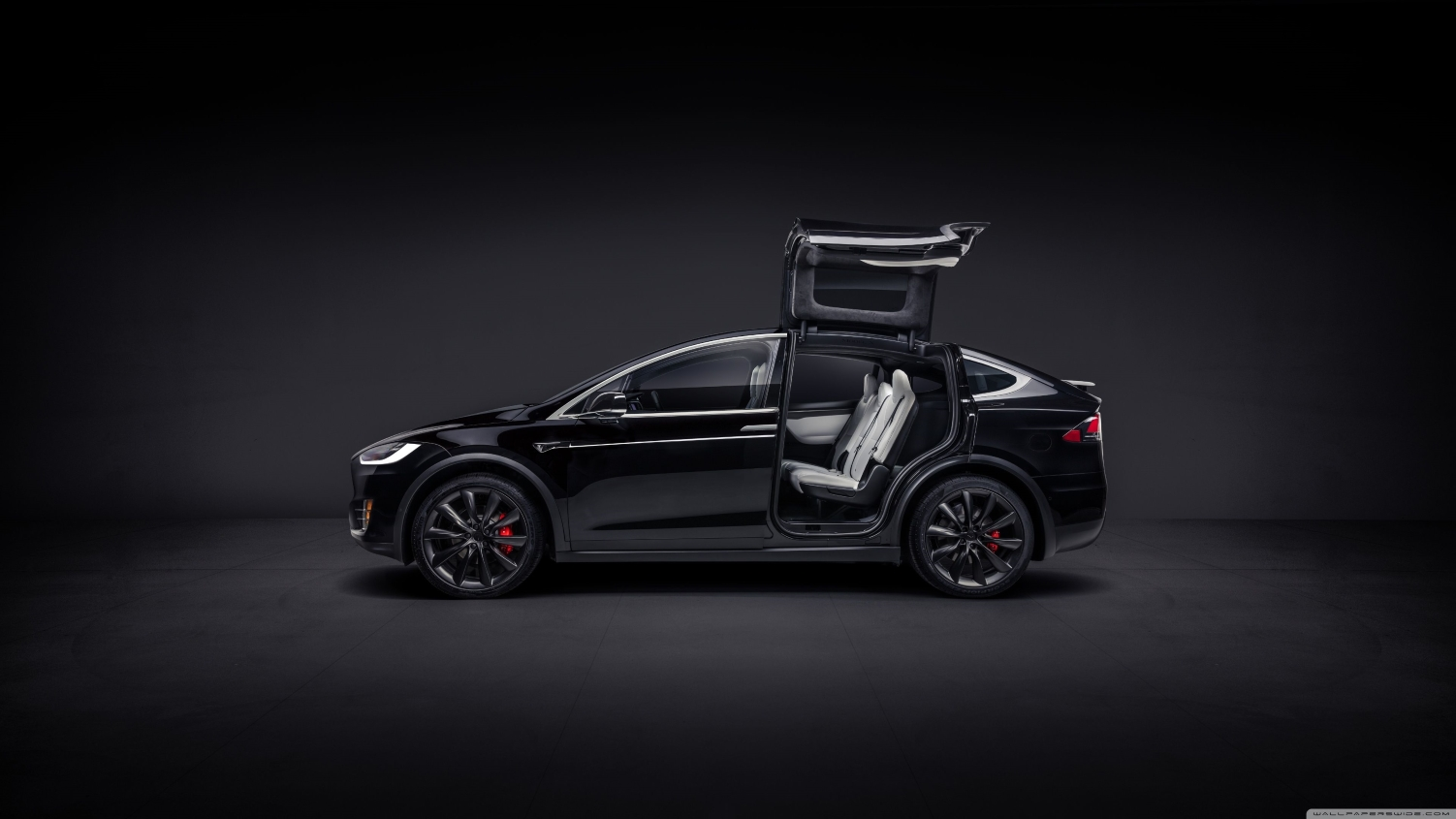 Black Car Service - Tesla Car service