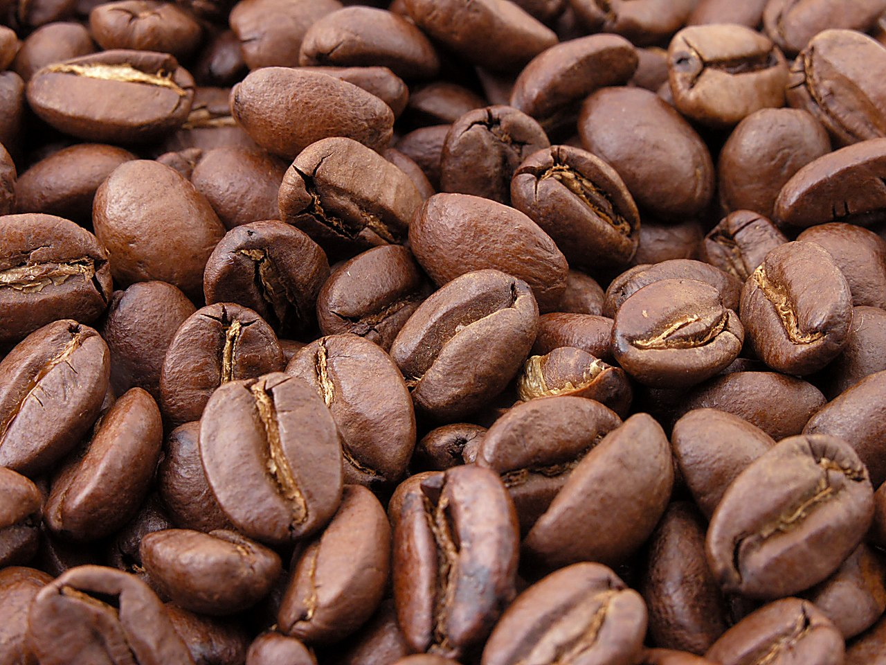 freshly roasted coffee beans last freshly roasted beans fresh coffee beans