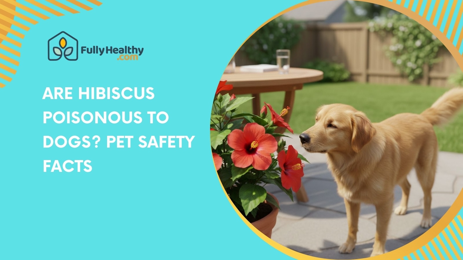 Are Hibiscus Poisonous to Dogs? Pet Safety Facts