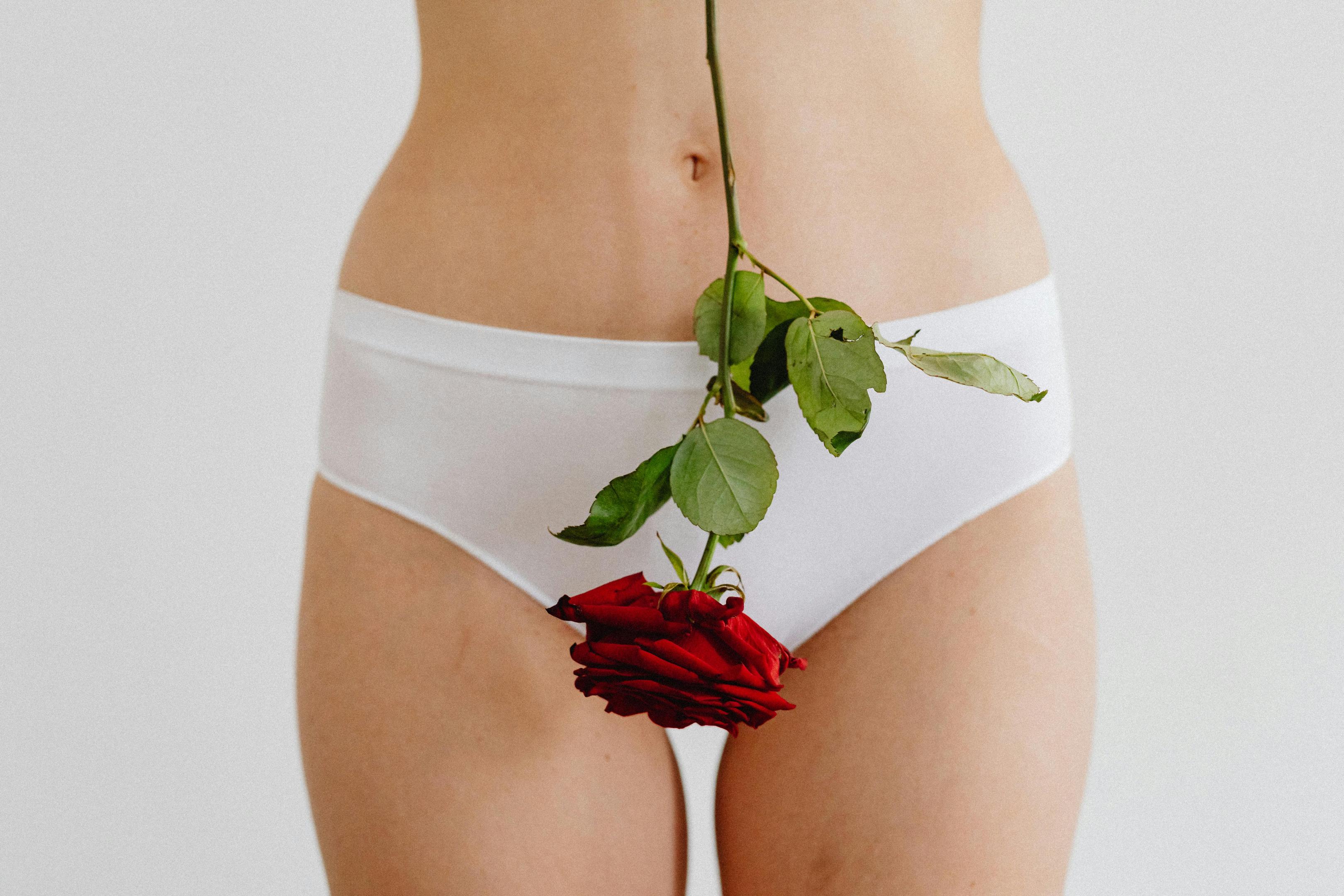 our period repair manual