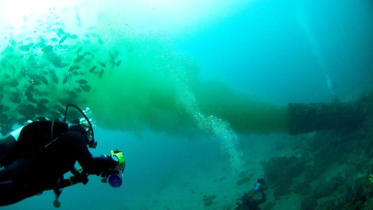 Human Impacts on Florida's Coral Reefs