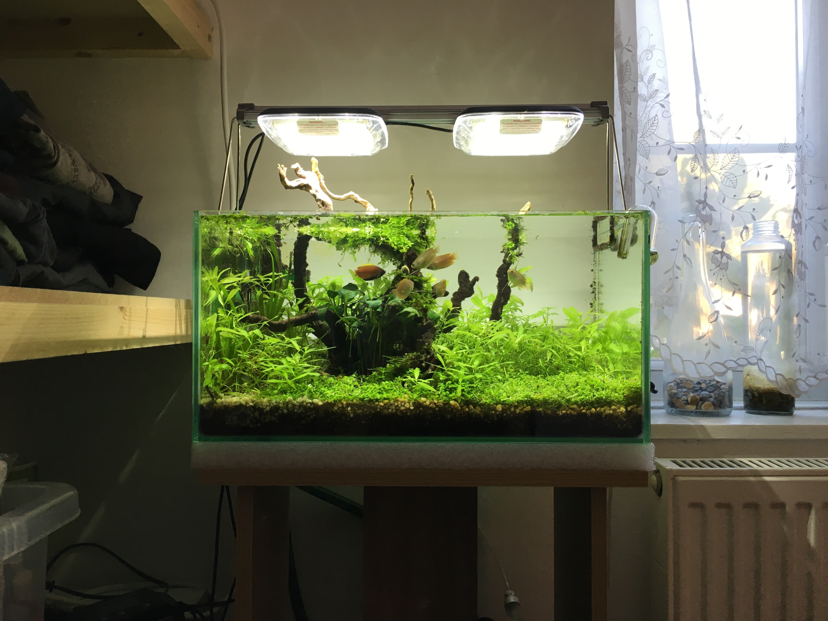 aquascaping compositon