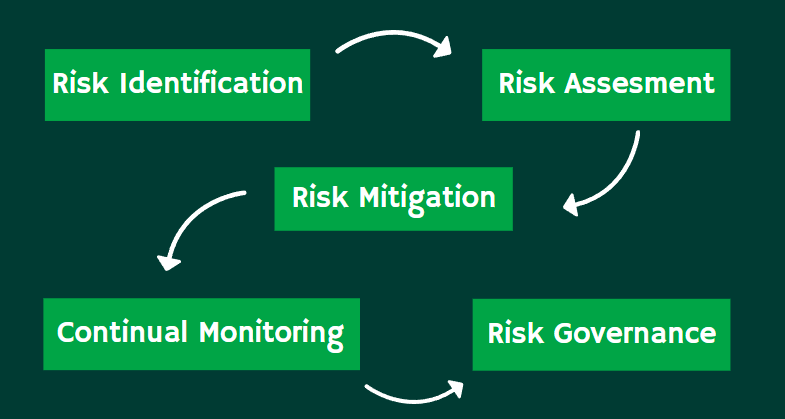 The Risk Management Process Flow